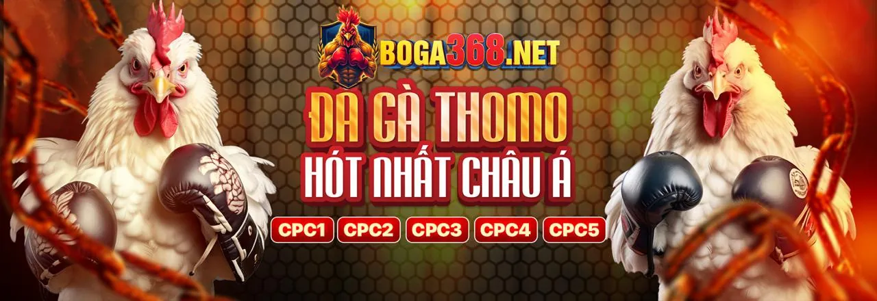 Hướng dẫn cá cược bóng đá 888 chi tiết