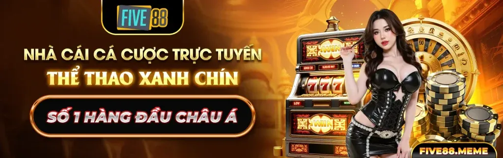 Hướng dẫn cá cược tổng hợp