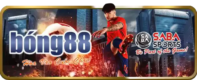 Quyền của người dùng về dữ liệu cá nhân tại Bong Da 888